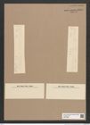 Synedra sp. (de-Toni-Nr.: Genus 66) Zeichnungen Sammlung Grunow Nr. 5379 (NHMW-BOT-W0373806)